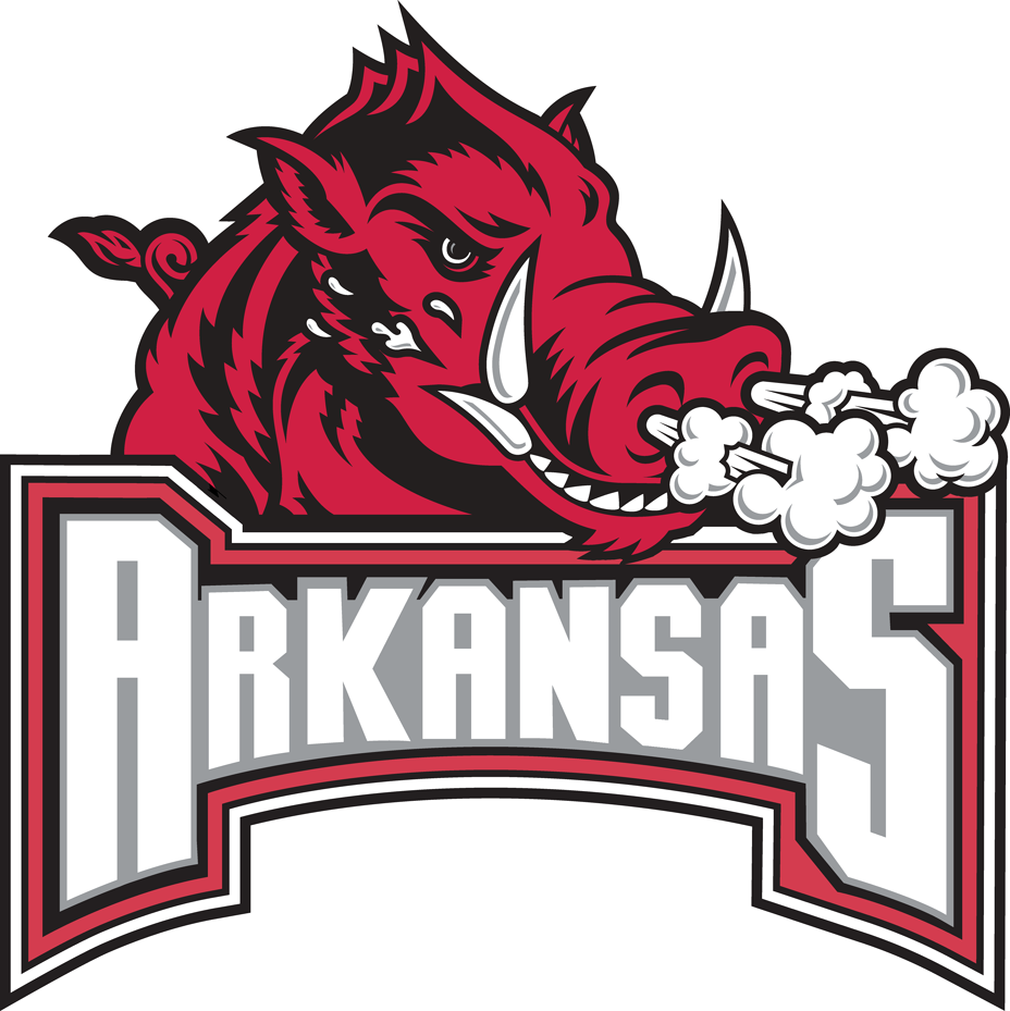 Arkansas Razorbacks 2001-2008 Secondary Logo iron on transfers for clothing